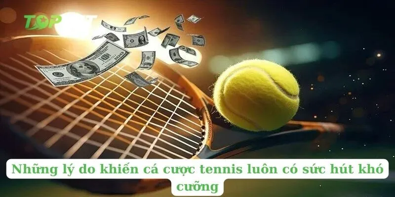 Những lý do khiến cá cược tennis luôn có sức hút khó cưỡng