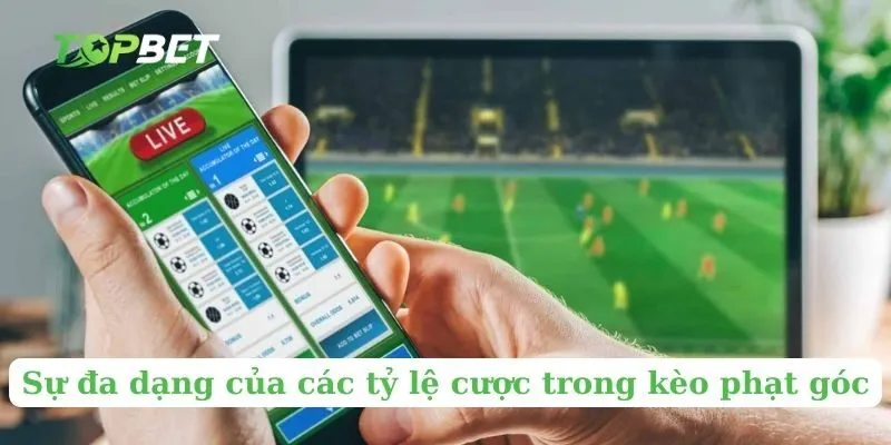 Sự đa dạng của các tỷ lệ cược trong kèo phạt góc