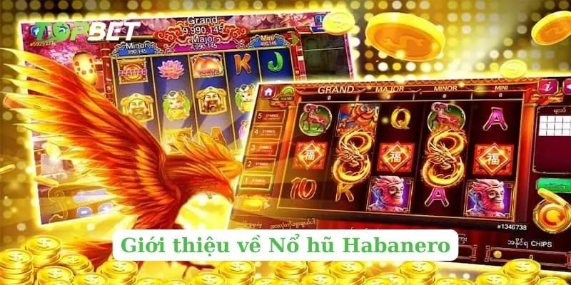 Giới thiệu về Nổ hũ Habanero