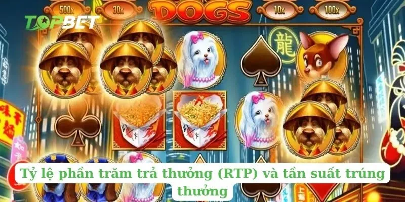 Tỷ lệ phần trăm trả thưởng (RTP) và tần suất trúng thưởng 