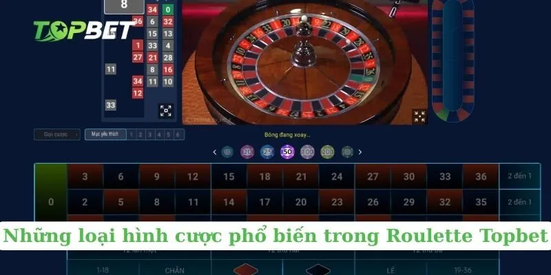 Những loại hình cược phổ biến trong Roulette Topbet 