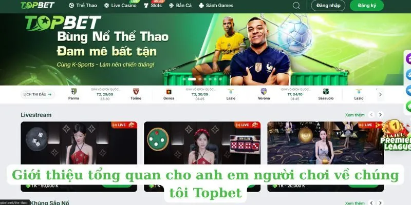 Giới thiệu tổng quan cho anh em người chơi về chúng tôi Topbet