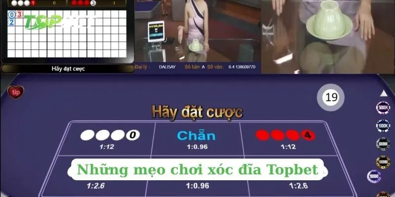 Những mẹo chơi xóc đĩa Topbet